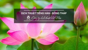 Dịch tiếng Hàn Đồng Tháp - uy tín, chất lượng, nhanh chóng